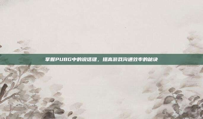 掌握PUBG中的说话键，提高游戏沟通效率的秘诀
