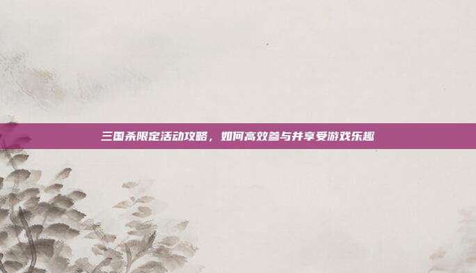 三国杀限定活动攻略，如何高效参与并享受游戏乐趣