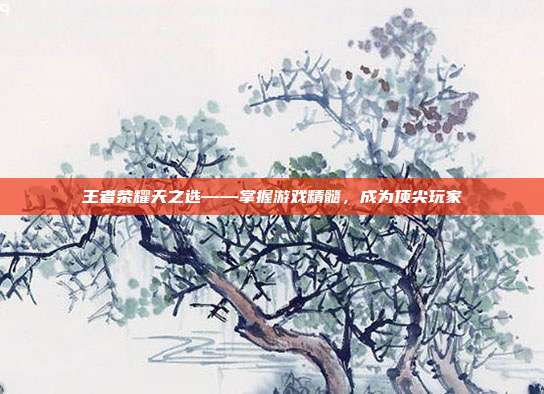 王者荣耀天之选——掌握游戏精髓,成为顶尖玩家