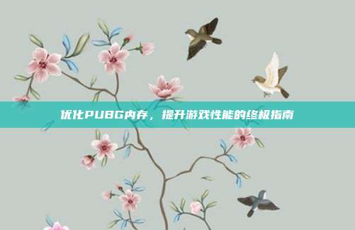 优化PUBG内存，提升游戏性能的终极指南