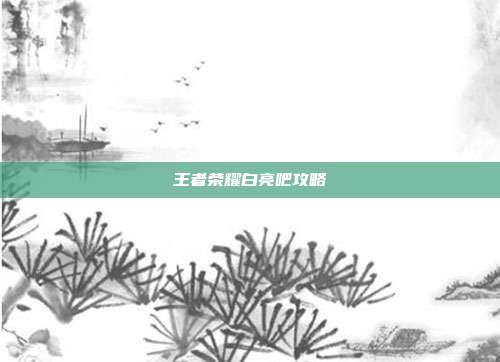 王者荣耀白亮吧攻略