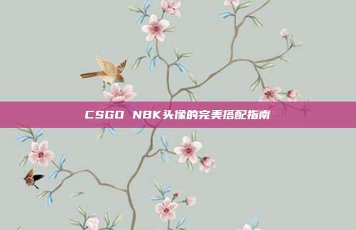 CSGO NBK头像的完美搭配指南