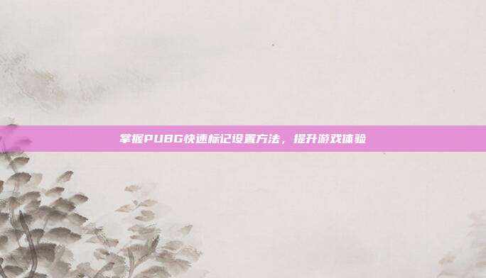 掌握PUBG快速标记设置方法，提升游戏体验