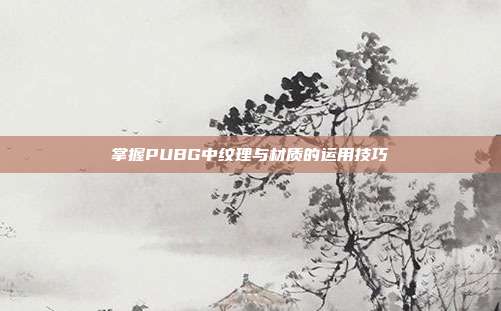 掌握PUBG中纹理与材质的运用技巧