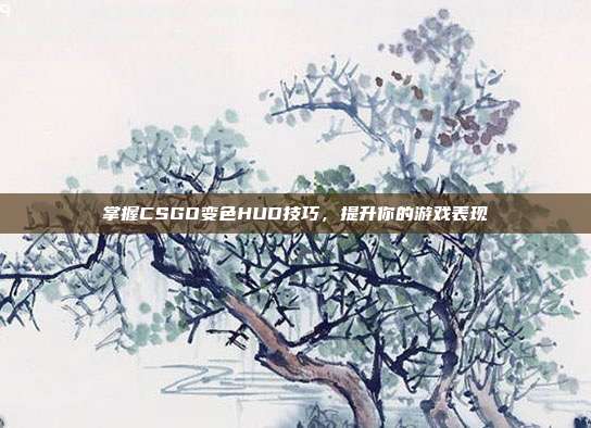 掌握CSGO变色HUD技巧,提升你的游戏表现