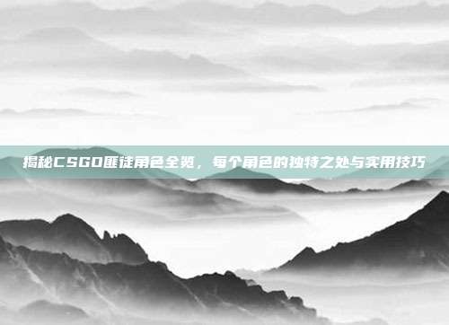 揭秘CSGO匪徒角色全览,每个角色的独特之处与实用技巧