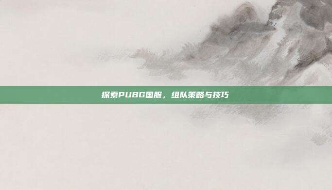 探索PUBG国服,组队策略与技巧