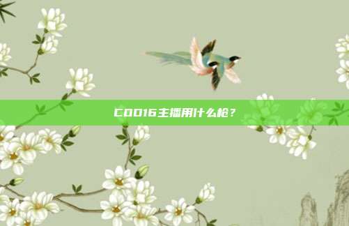 COD16主播用什么枪?