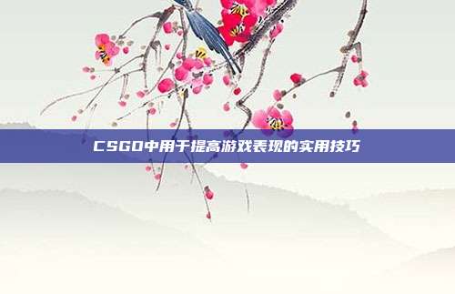 CSGO中用于提高游戏表现的实用技巧