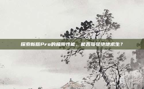探索新版Pro的极限性能，能否驾驭绝地求生？