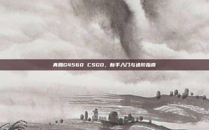 奔腾G4560 CSGO,新手入门与进阶指南