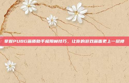 掌握PUBG画质助手极限帧技巧,让你的游戏画面更上一层楼