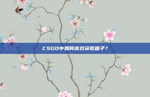 CSGO中如何高效获取箱子？