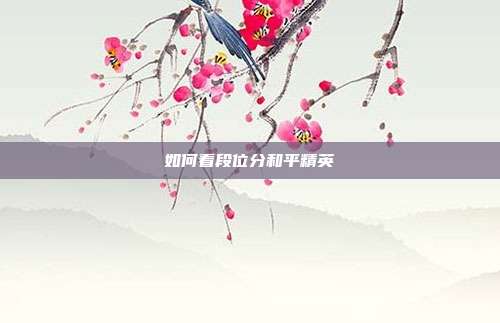 如何看段位分和平精英