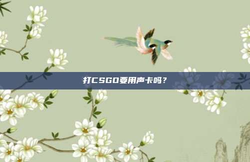 打CSGO要用声卡吗?