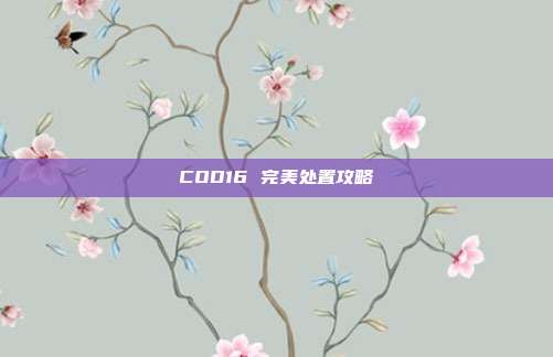 COD16 完美处置攻略