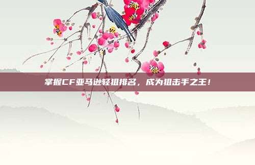 掌握CF亚马逊轻狙排名,成为狙击手之王!