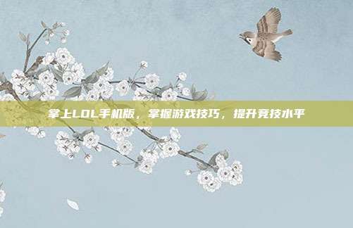 掌上LOL手机版,掌握游戏技巧,提升竞技水平