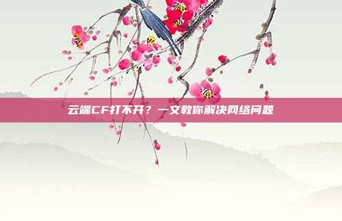 云端CF打不开?一文教你解决网络问题