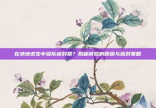 在绝地求生中组队被封禁?揭秘背后的原因与应对策略