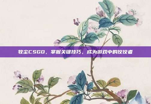 牧尘CSGO，掌握关键技巧，成为游戏中的佼佼者