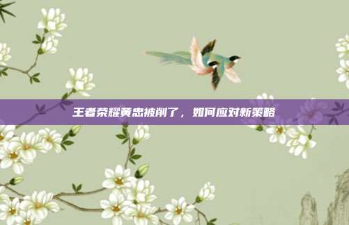 王者荣耀黄忠被削了，如何应对新策略