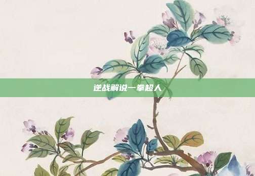 逆战解说一拳超人
