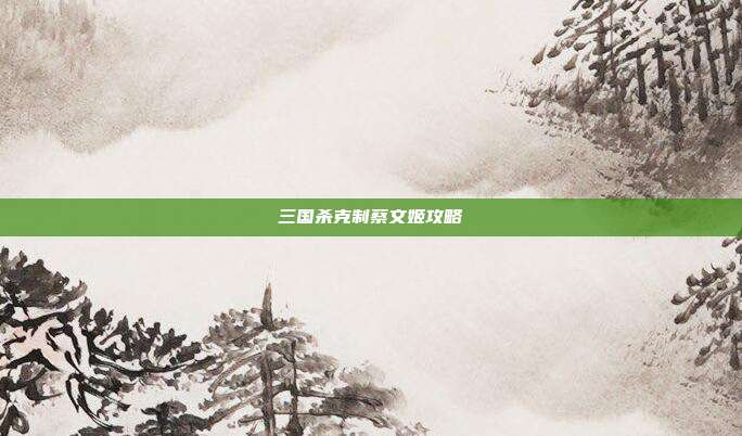 三国杀克制蔡文姬攻略