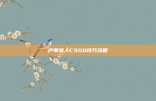 芦苇骂人CSGO技巧攻略
