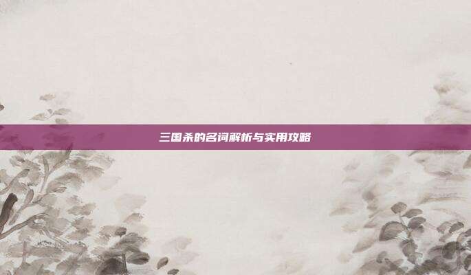 三国杀的名词解析与实用攻略