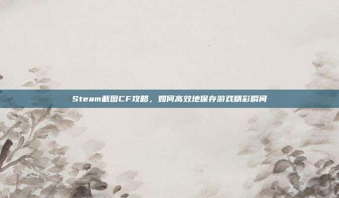 Steam截图CF攻略,如何高效地保存游戏精彩瞬间