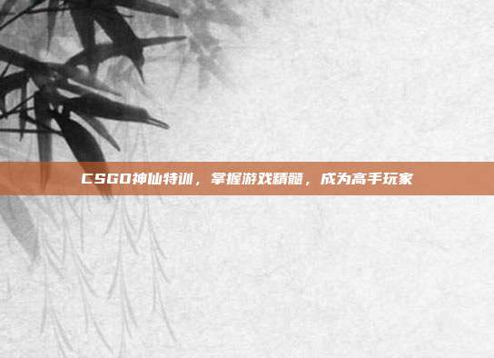 CSGO神仙特训,掌握游戏精髓,成为高手玩家