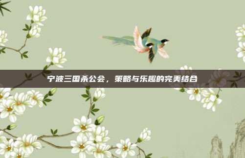 宁波三国杀公会，策略与乐趣的完美结合