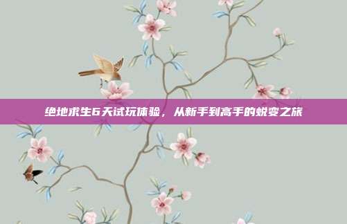 绝地求生6天试玩体验，从新手到高手的蜕变之旅