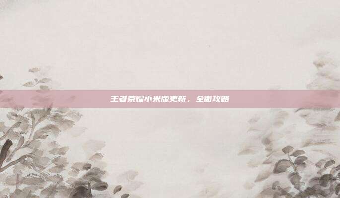 王者荣耀小米版更新，全面攻略