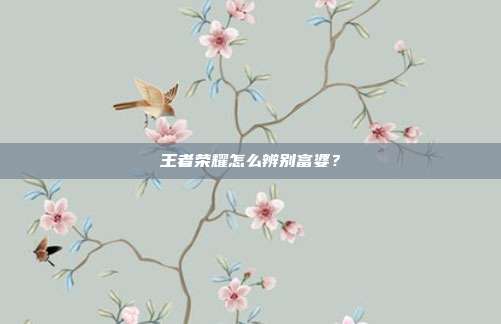 王者荣耀怎么辨别富婆?