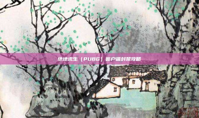 绝地求生(PUBG)客户端封禁攻略