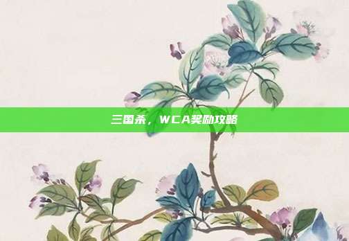 三国杀,WCA奖励攻略
