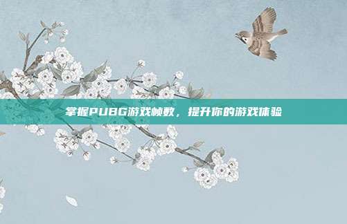 掌握PUBG游戏帧数，提升你的游戏体验