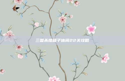 三国杀推箱子休闲22关攻略