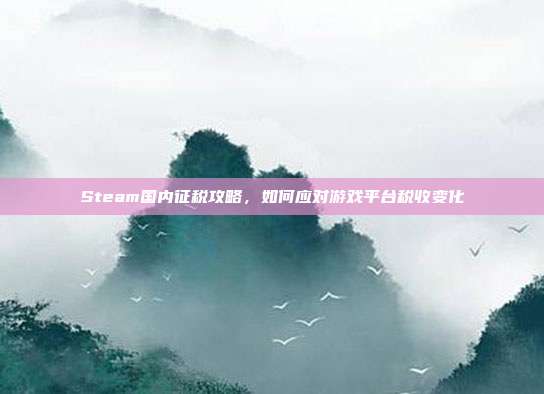 Steam国内征税攻略,如何应对游戏平台税收变化