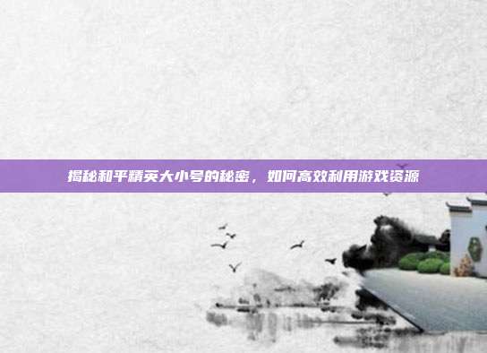揭秘和平精英大小号的秘密，如何高效利用游戏资源
