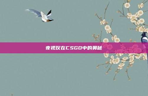 夜视仪在CSGO中的奥秘