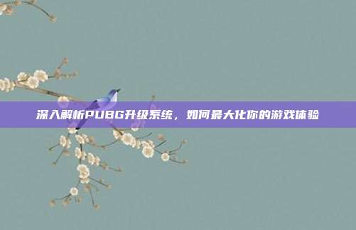 深入解析PUBG升级系统，如何最大化你的游戏体验