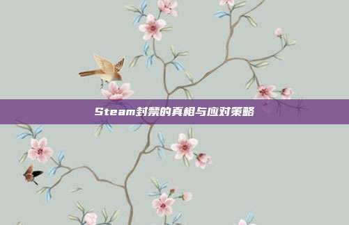 Steam封禁的真相与应对策略