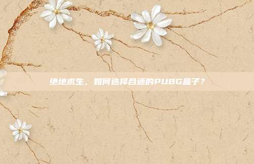 绝地求生,如何选择合适的PUBG盒子?