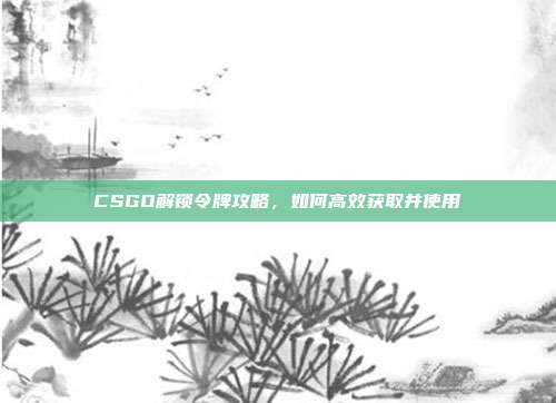CSGO解锁令牌攻略，如何高效获取并使用