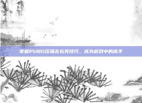 掌握PUBG压强左右晃技巧,成为游戏中的高手