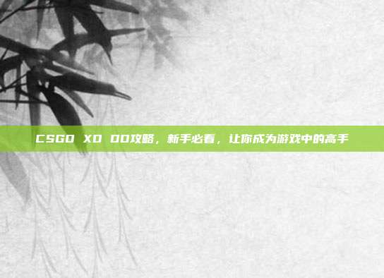 CSGO XD DD攻略，新手必看，让你成为游戏中的高手