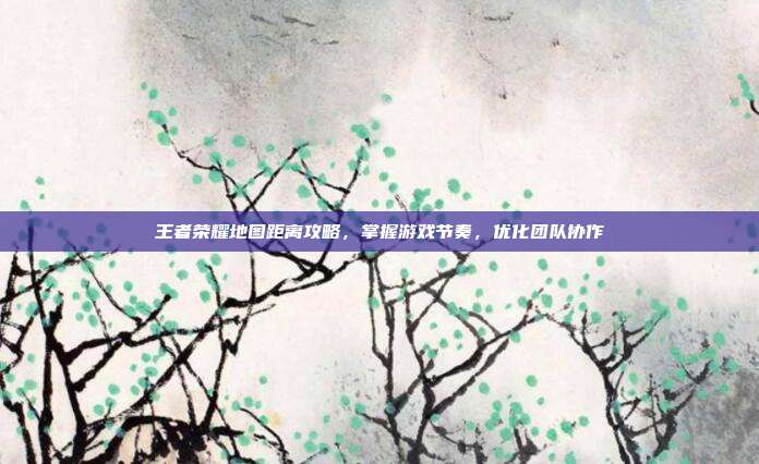 王者荣耀地图距离攻略,掌握游戏节奏,优化团队协作